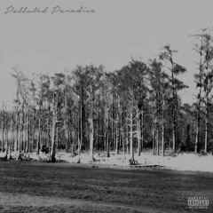 CHETTA - POLLUTED PARADISE FT. $UICIDEBOY$ (Instrumental Remake)