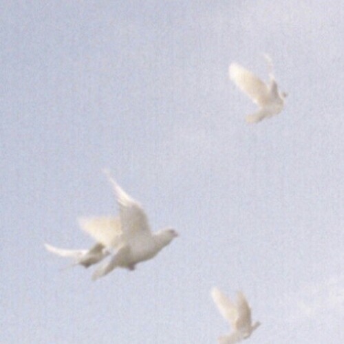𝐫𝐞𝐧𝐞𝐞