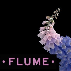 Flume - Numb & Getting Closer ( BONZA REMIX) [FREE DL]