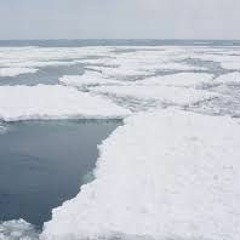 忘れられた願い、コンピューターの想像力に迷う