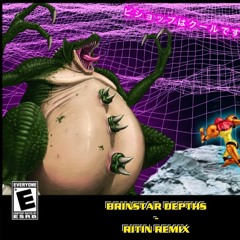 Brinstar Depths [RiTiN Remix]