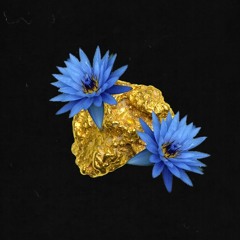 [Channel 444]: Blue Lily