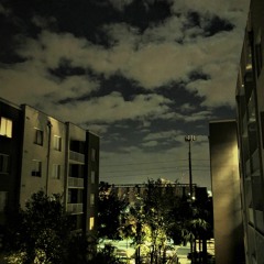 Brainy (The National)