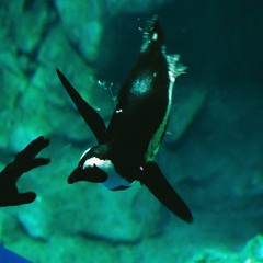 oceans of time [prod. j. king]