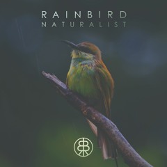 Rainbird - Instinct (Original Mix) • Preview • Naturalist EP