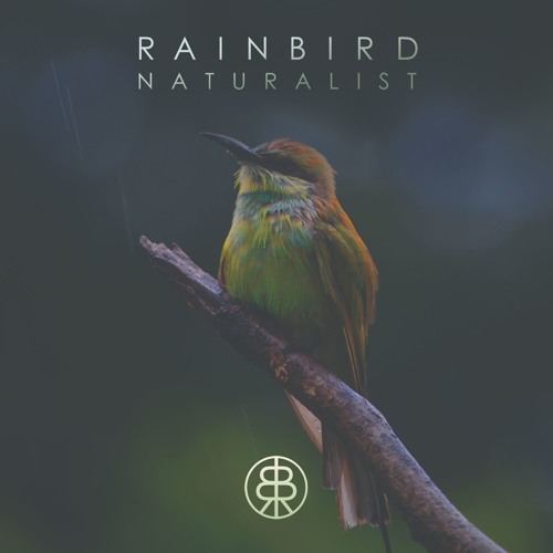 Rainbird - Instinct (Original Mix) • Preview • Naturalist EP