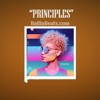 🕺 "PRINCIPLES" Stromae x Calvin Harris type beat | UK Garage electro pop dance tropical instru 2019