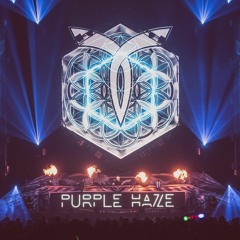 Purple Haze Live @ Transmission Festival Australia 2019