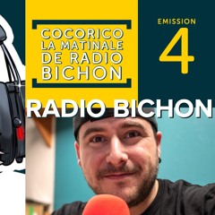 La Matinale du 21 mars 2019 Avec Eric le carreleur et divers infos RADIO BICHON