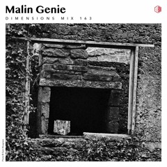 DIM163 - Malin Genie