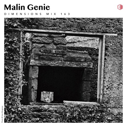 DIM163 - Malin Genie