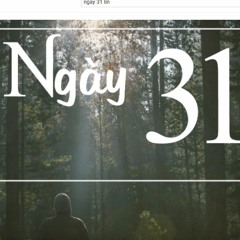 NGÀY 31 - Lin X Kan X Đô