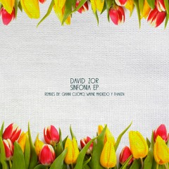 David Zor - Sinfonia (Original Mix)