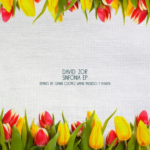 David Zor - Sinfonia (Original Mix)