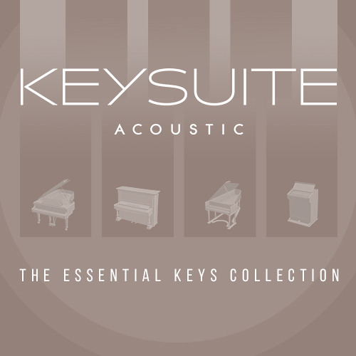 Key Suite Acoustic - Model D by Benoît Sourisse