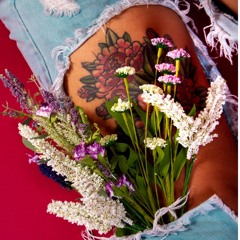 ＦＯＯＬＩＳＨ／ＲＯＭＡＮＴＩＣ