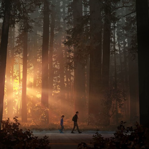 Life is Strange 2 OST: We have to go (Seattle Incident)