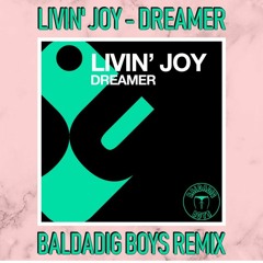 Livin' Joy - Dreamer (Baldadig Boys Remix)