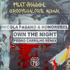 Nicola Fasano & Honorebel Ft Shaggy & GrooveGalore MuziK - Own The Night (Pedro Carrilho Preview)