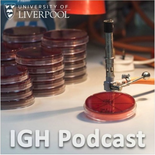 Stream episode Tuberculosis in the UK by Institute of Infection