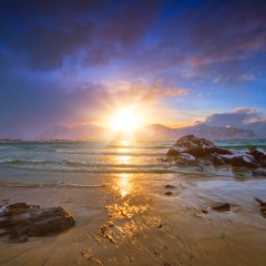 Mohácsi Viktória Menetjegy a