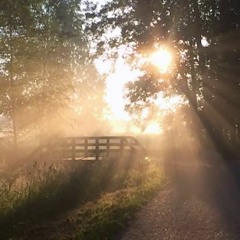 Hiipii (Ambient Online Themed Compilation 03: Uranus)