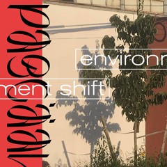 Environment Shift