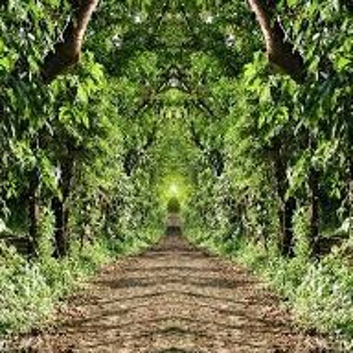 ▲ Shadow ✖ Time ▲ Stoner Trap [mf]