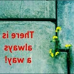 Zeee There Is Always A Way..