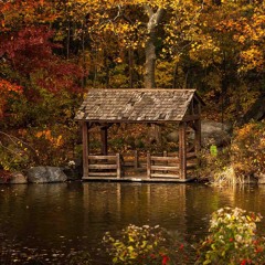 Klap - Too upset to fly ( Odacity remix )