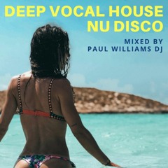 Deep Vocal House & Nu Disco Mix [March 2019] by Paul Williams DJ