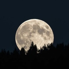 La Lune Blanche - James Sheppard