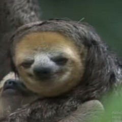 Summer instrumental piano beat