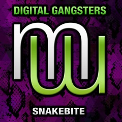 Digital Gangsters Snake Bite (Fonzerelli Twisted Venom Mix)also on Spotify Beatport Apple etc
