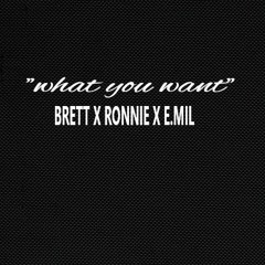 "what you want"   BRETT  X RONNIE LEMON & E.MIL