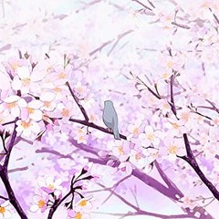 Bird春