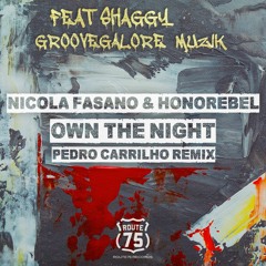 Own The Night feat SHAGGY (Pedro Carrilho remix) *** played by CARTA, DANNIC, UMMET OZCAN + more!