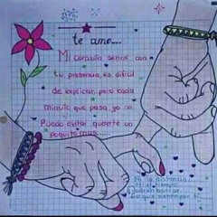 PICAFLOR DE LOS ANDES-EL PUÑAL