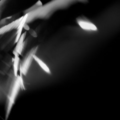 I Will Take You(Remix) [ft. Meliz]