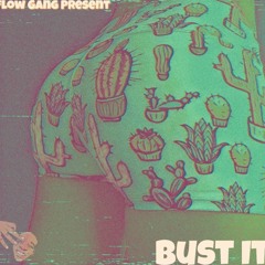 Flow Gang - Bust It(2013)[Prod By DevinYouAFool]