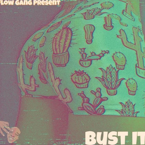 Flow Gang - Bust It(2013)[Prod By DevinYouAFool]