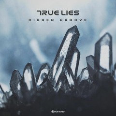 True Lies - Hidden Groove Dj Mix