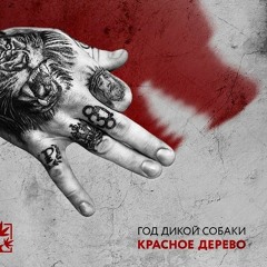 Вечный Карантин
