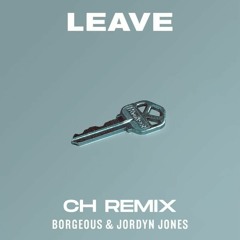 Borgeous & Jordyn Jones - Leave (CH Remix)