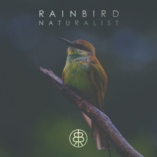 Like Liquid - Howl & Growl (Rainbird Remix) • Preview • Naturalist EP