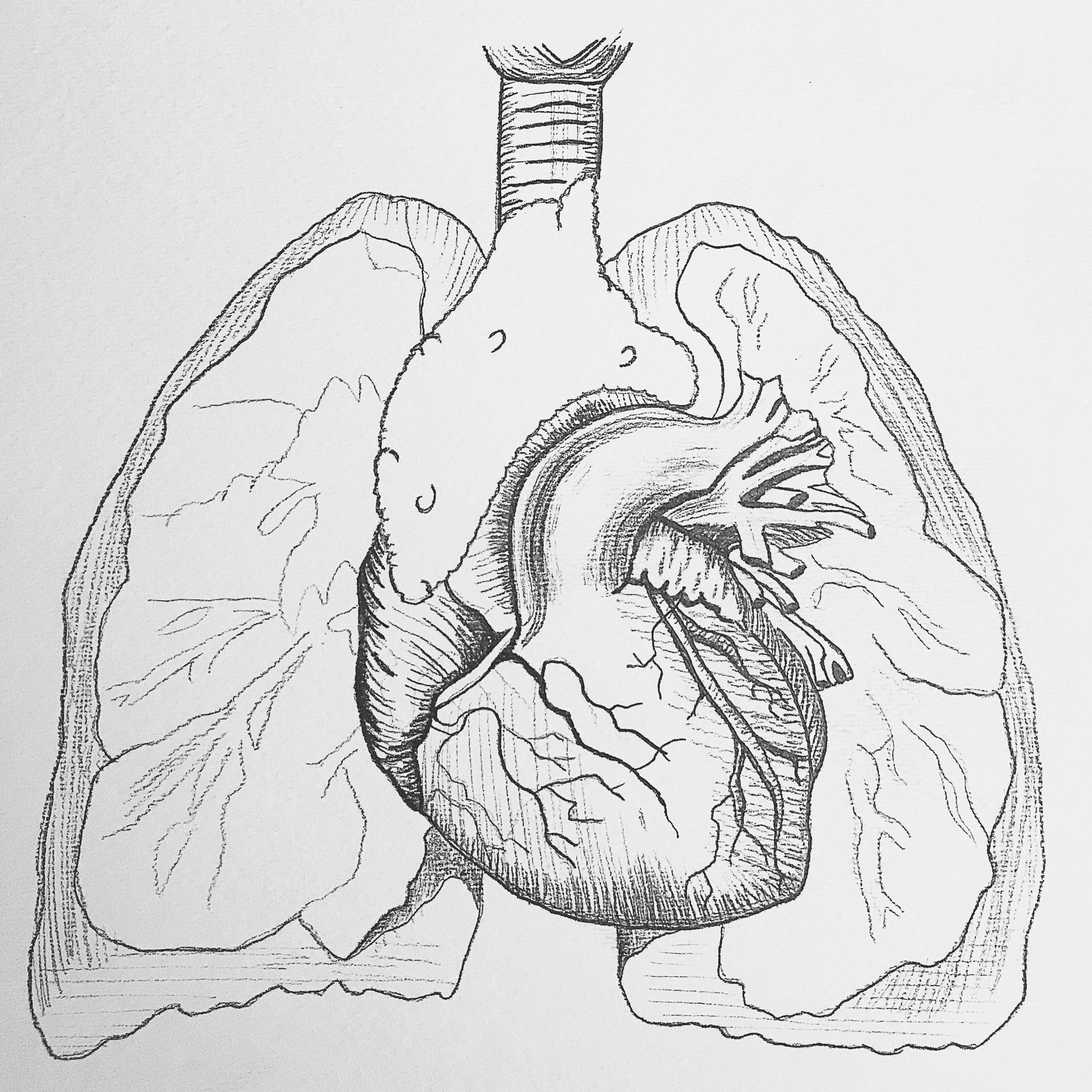 RadioBio