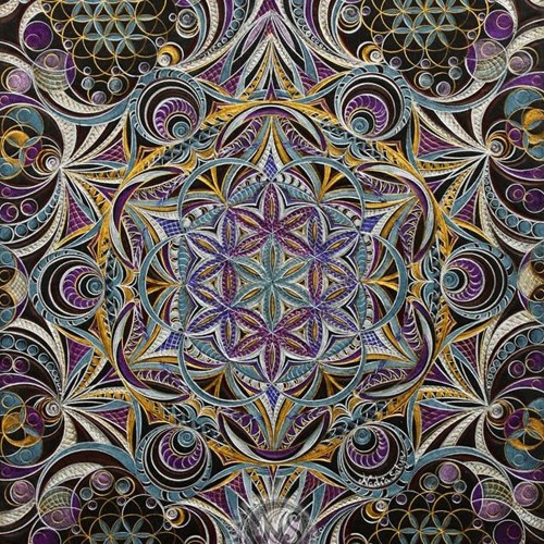 Nosense V1