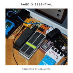 007 The New Vision ⎮ 22 Mar 2019