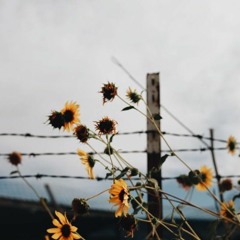 I hope when you listen to this song, you'll realize the grave is not your home w/ Luke dickens