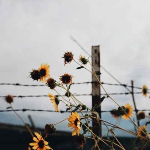 I hope when you listen to this song, you'll realize the grave is not your home w/ Luke dickens